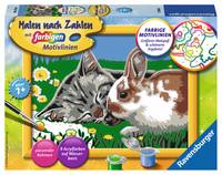 Ravensburger 27840 Ravensburger Malen-nach-Zahlen Kätzchen und Häschen