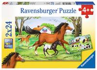 Ravensburger 08882, 1x -04005556088829