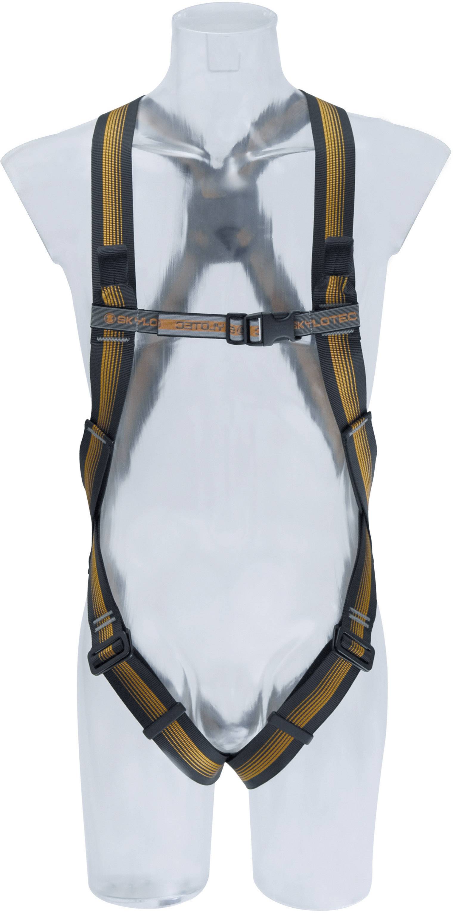 CS 2 ZWEIPUNKTAUFFANGGURT