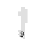 Nedis SmartLife LED Filament Lampe | WIFILF11WTST64 | Weiss
