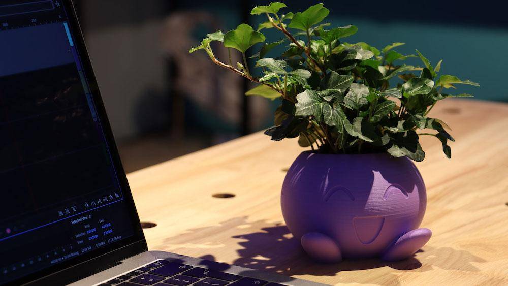 Polymaker 70846 PolyTerra PLA Filament PLA geringerer Kunststoffgehalt 1.75 mm 1000 g Grün (matt) 1 St.