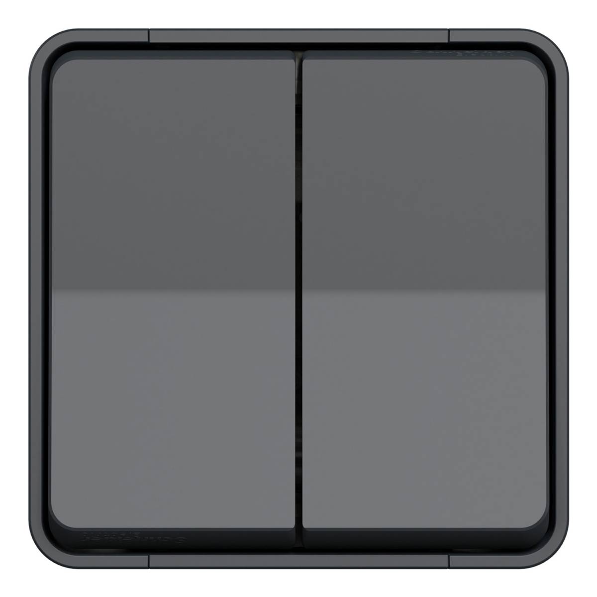 Schneider Electric Oberfläche Lichtschalter, IP55