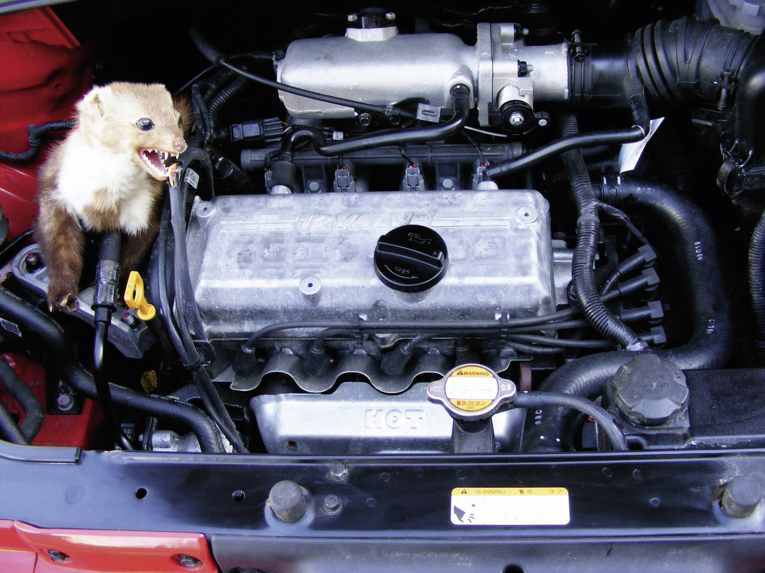 Kemo M186 Marderabwehr mit Optikschutz, mit Hochspannungsplättchen 12V 1St.