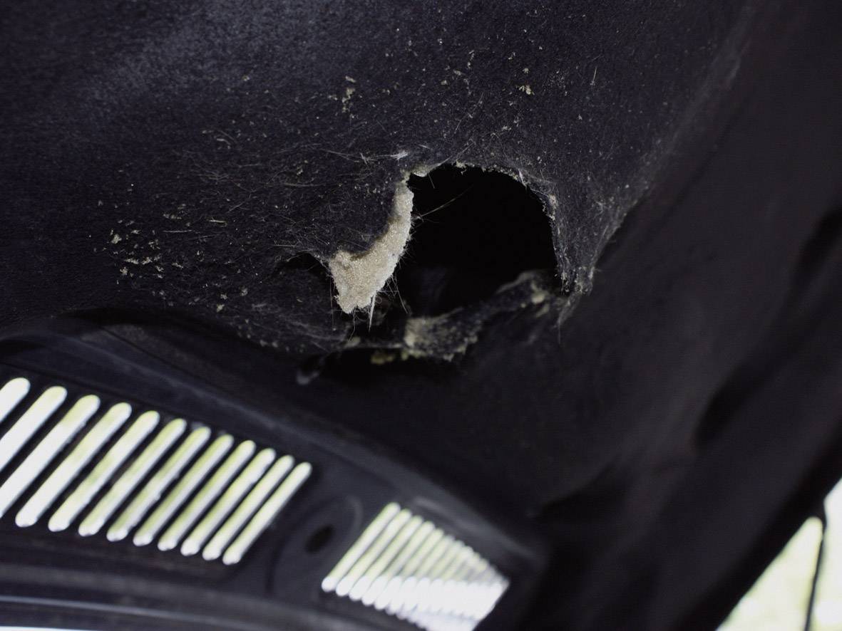 LAS 16264 Vergrämungsstäbchen 1 St.