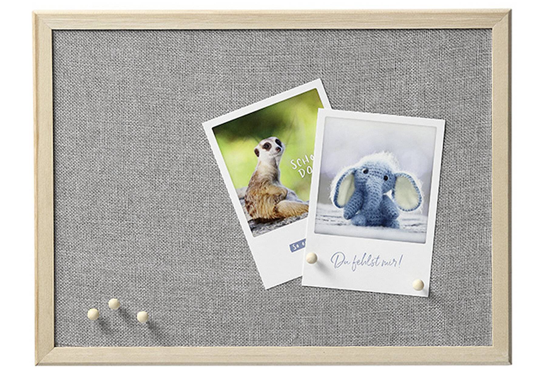 Zeller Present 408531, 1.0x -04003368112701