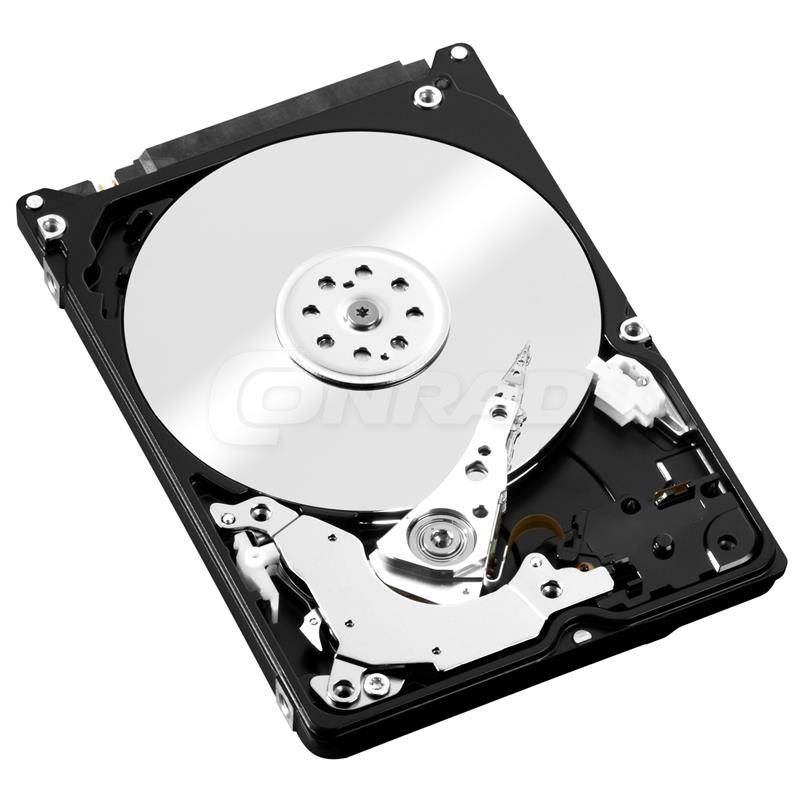 Western Digital Interne Festplatte 6.35 cm (2.5 Zoll) DYHWESH250018