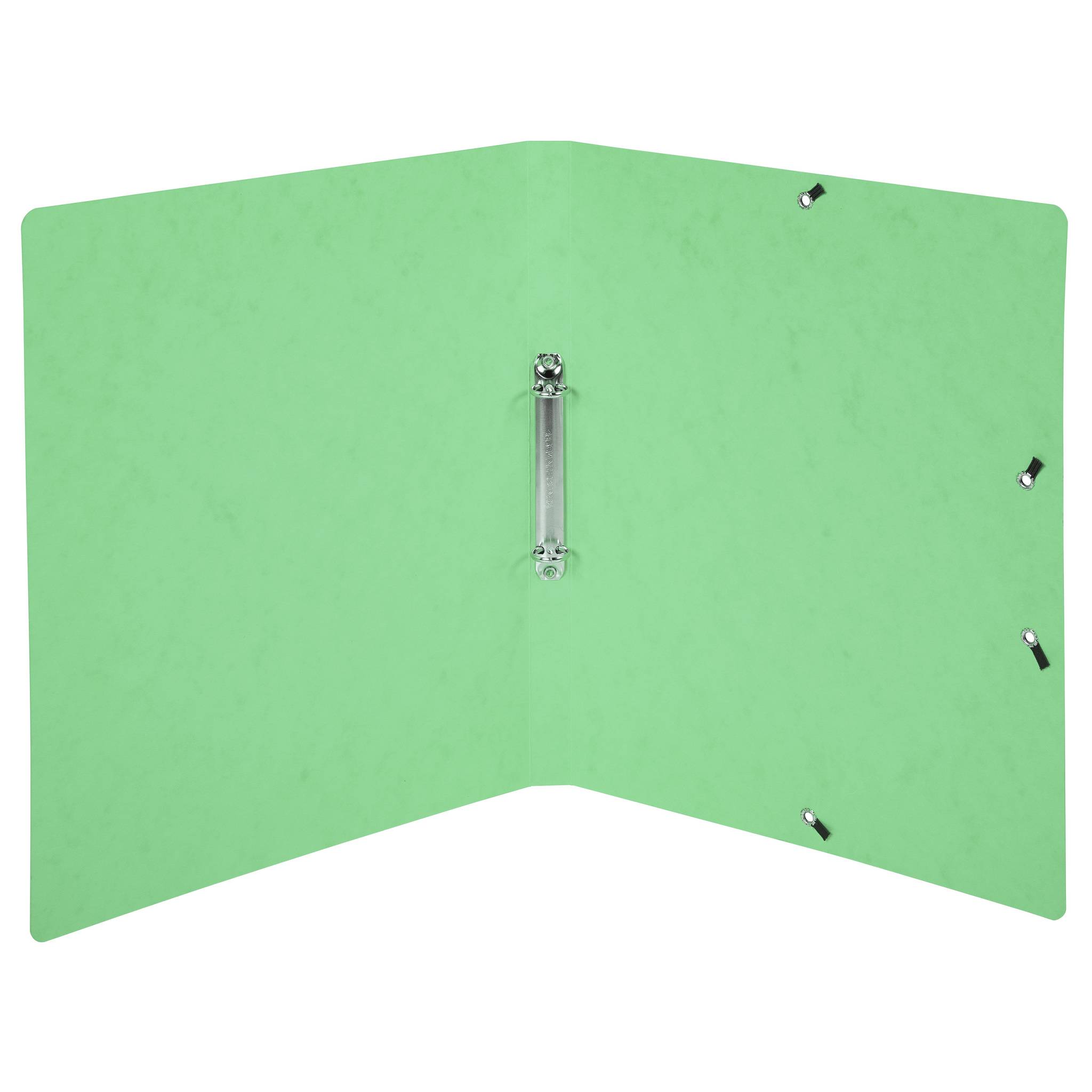 Exacompta 10x Ringhefter A4, 2 Ringe 15mm, Karton, bedruckt, Lindgrün, 542563E