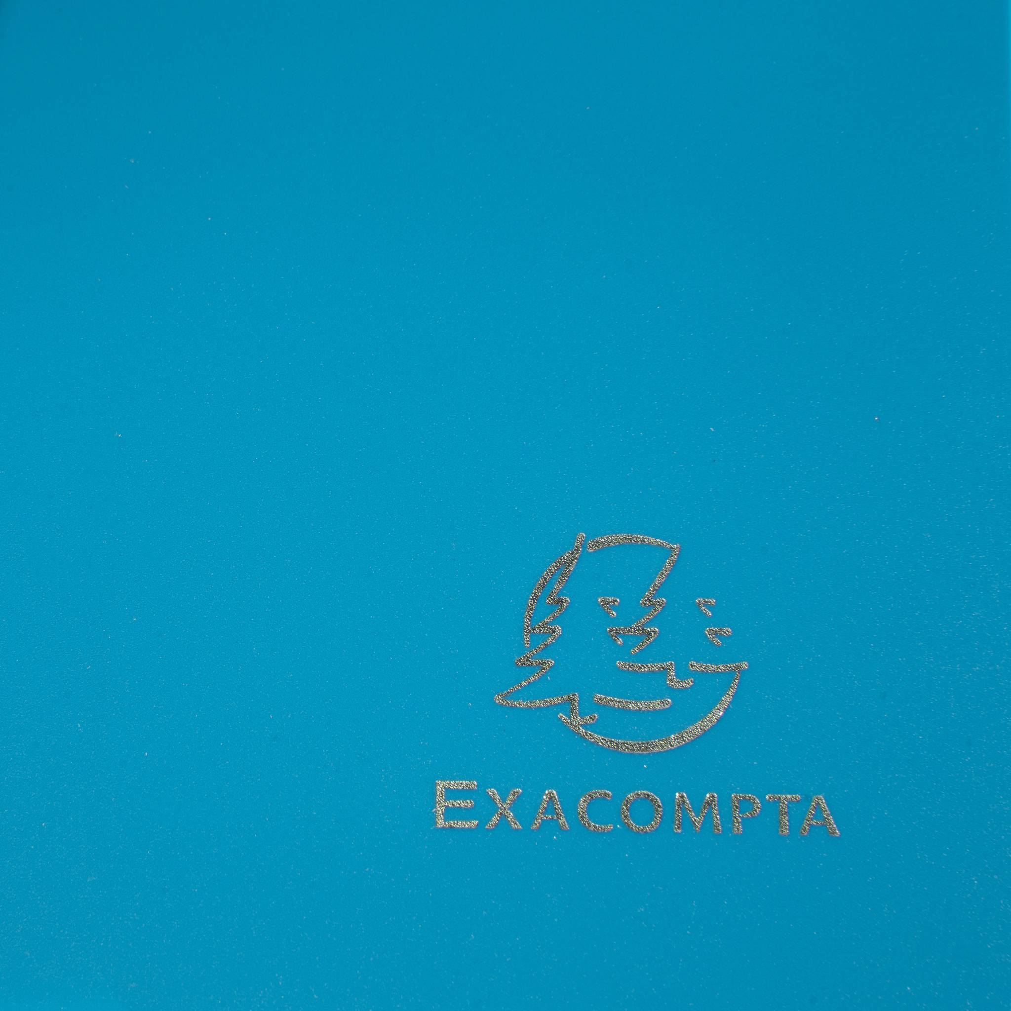 Exacompta 30x Sammelmappe +Gummizug 3 Klappen PP 400µ Eco A4 Grün 55903E