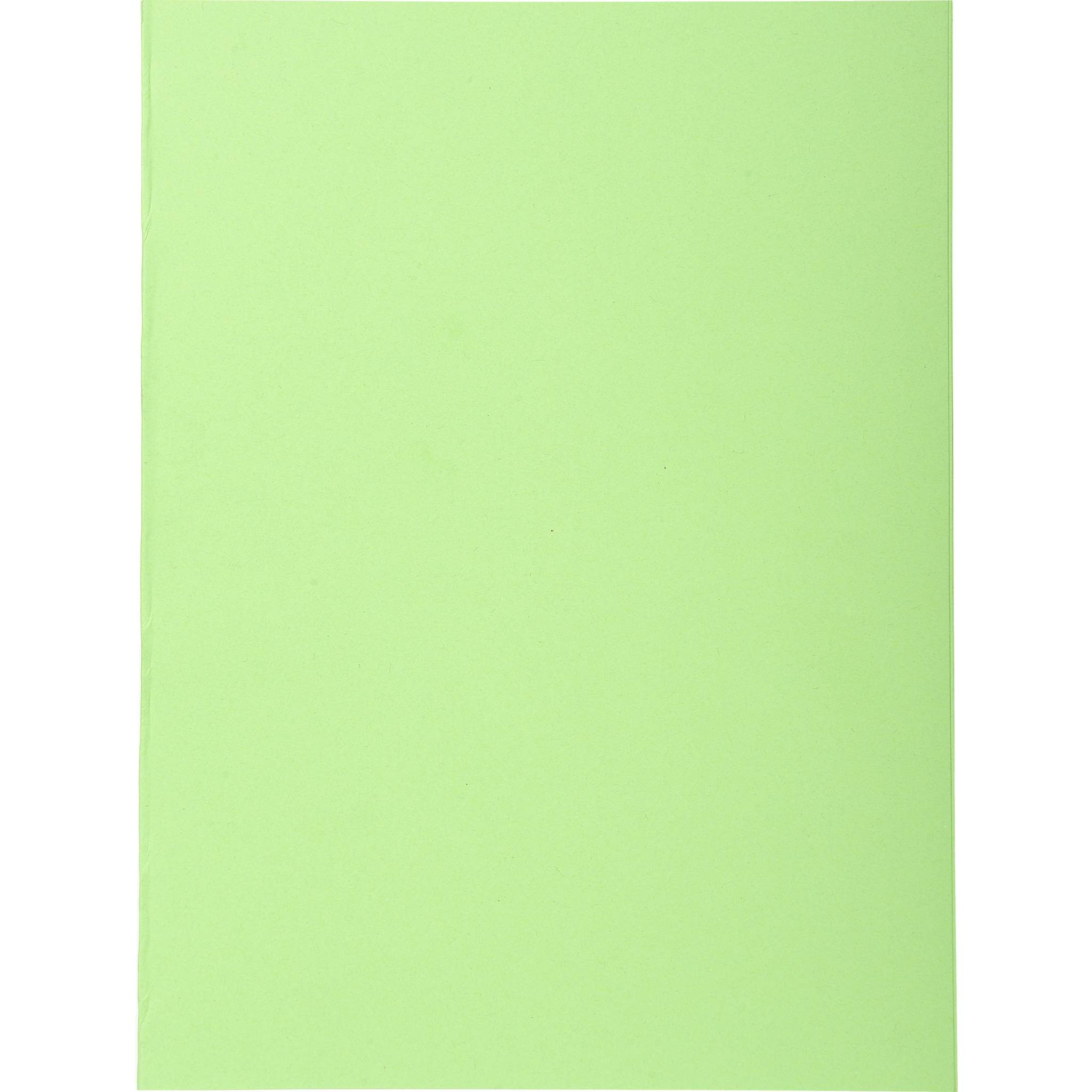 Exacompta 5x Pack 100 Aktendeckeln Recycling A4 - Intensivgrün - 410013E