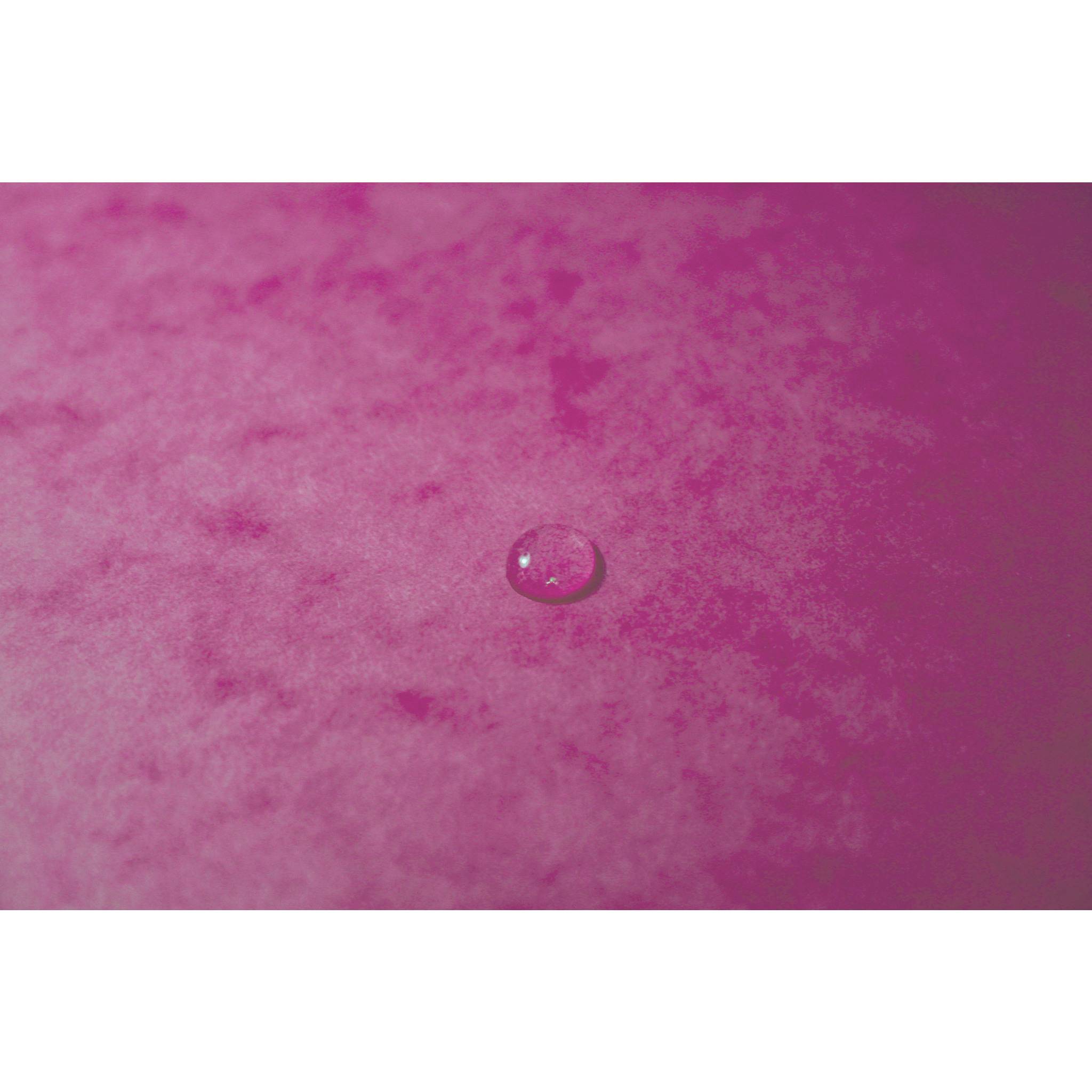 Exacompta 25x Eckspannmappe + Gummizug ohne Klappen, Karton, A4, Rosa, 5560E