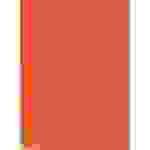 Exacompta 88324E 12x Sichtmappe aus PP 500µ mit 30 glatten Hüllen, transluzent, für Format DIN A4 - Orange