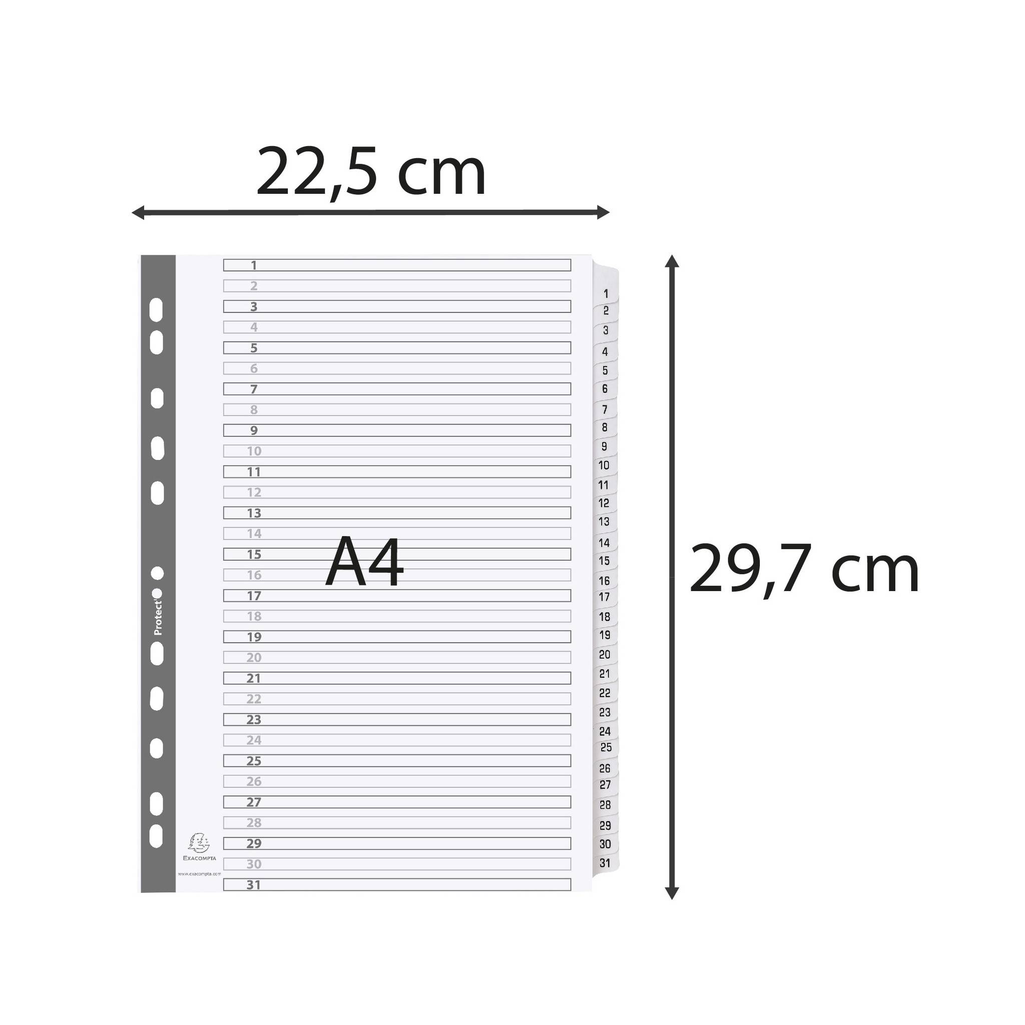 Exacompta 10x Register 31 Taben von 1 bis 31 A4 Weiß MWD1-31Z
