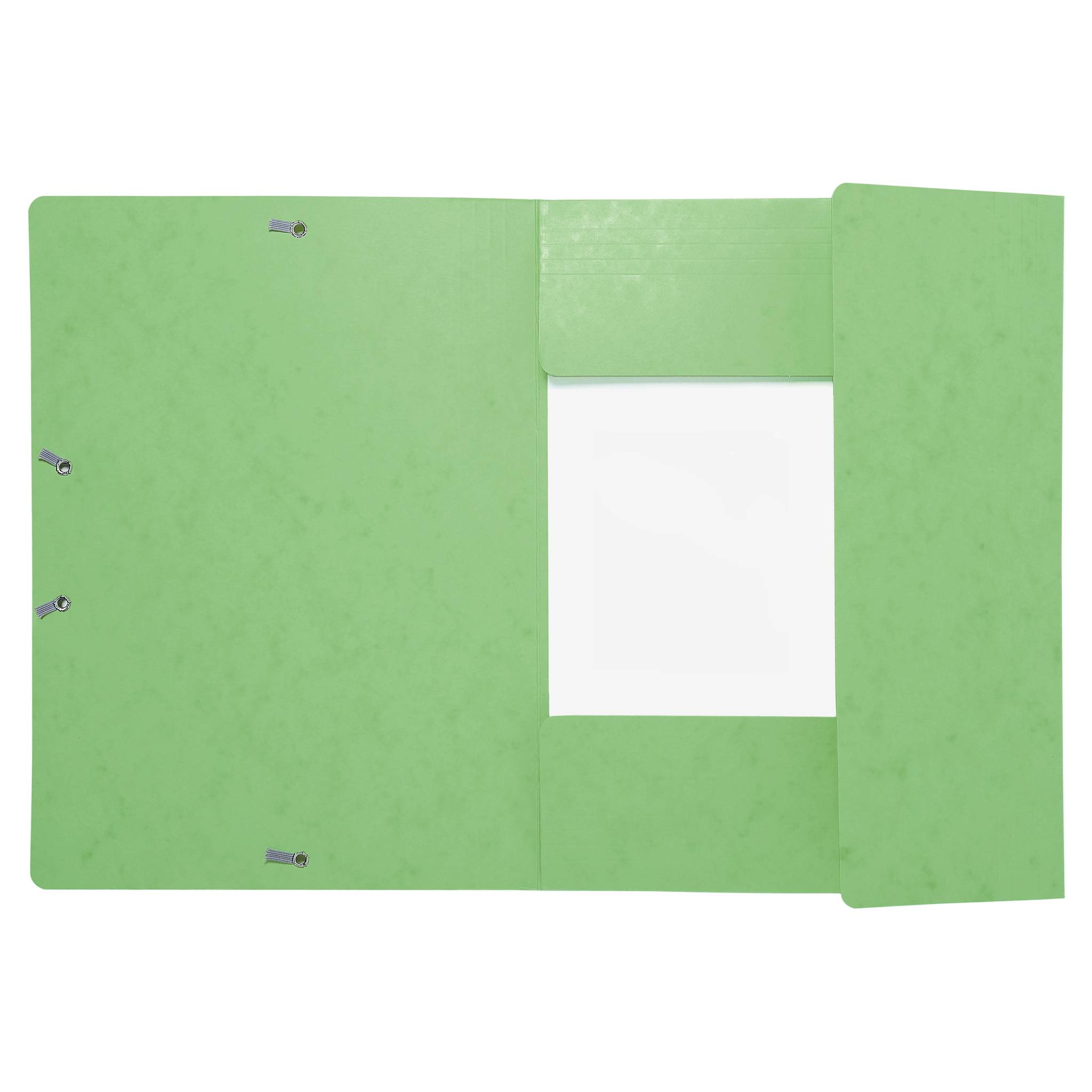 Exacompta 25x Sammelmappe +Gummizug 3 Klappen Karton A4 MAXI Lindgrün 17122H