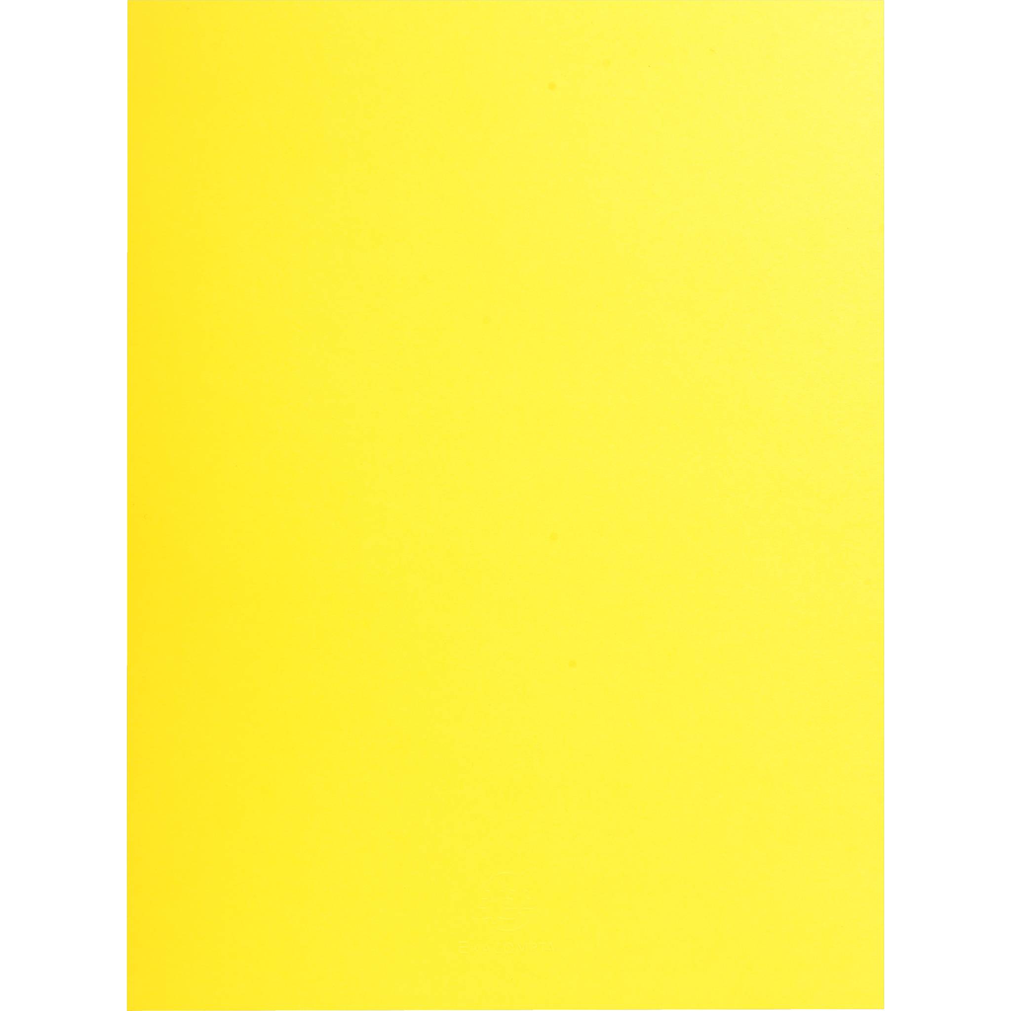 Exacompta 10x 25 Aktenmappe, 2 Innenfächer, A4 oder A3, Zitrusgelb, 415009E