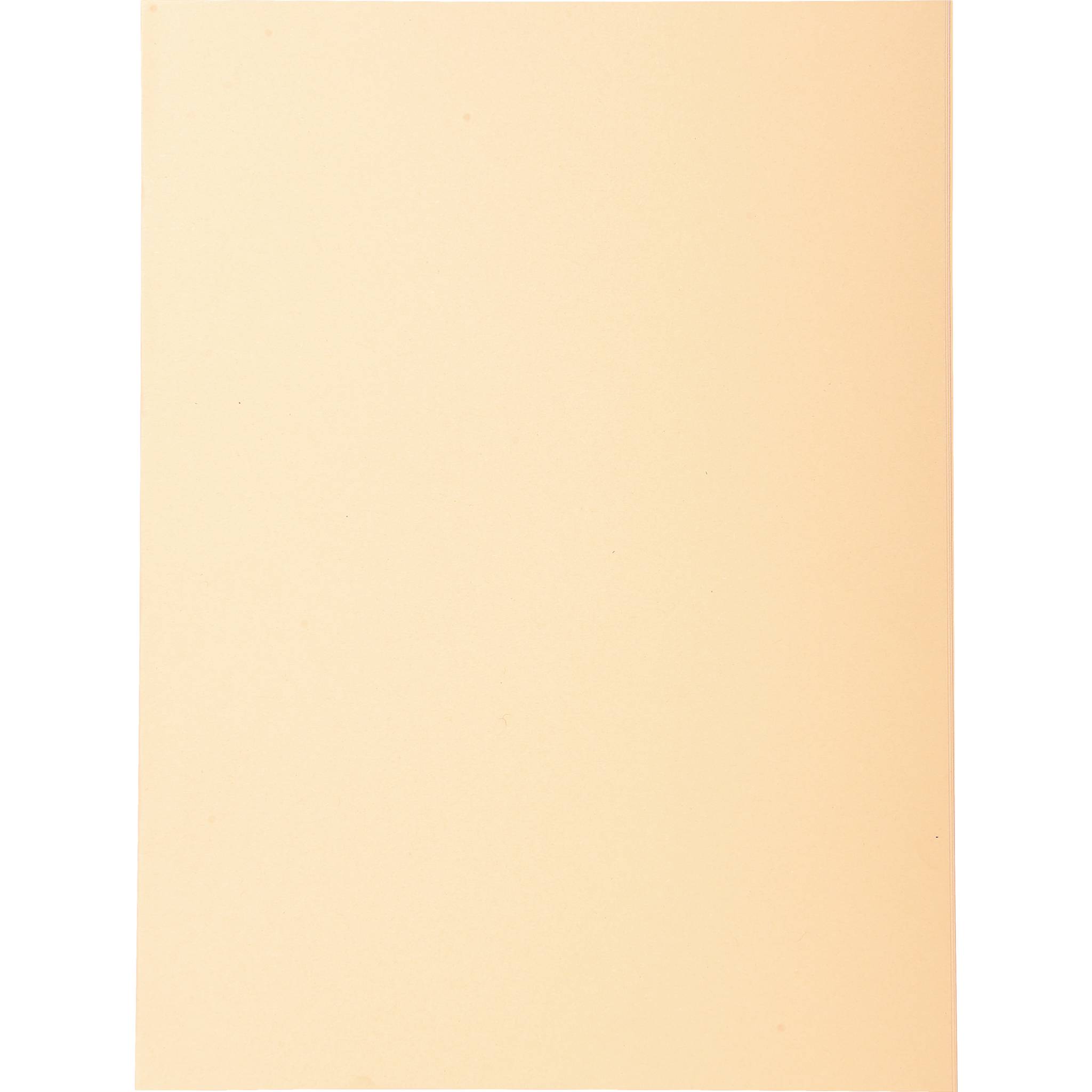 Exacompta 5x Pack 100 Aktendeckeln Recycling 220g A4 - Sand - 410002E