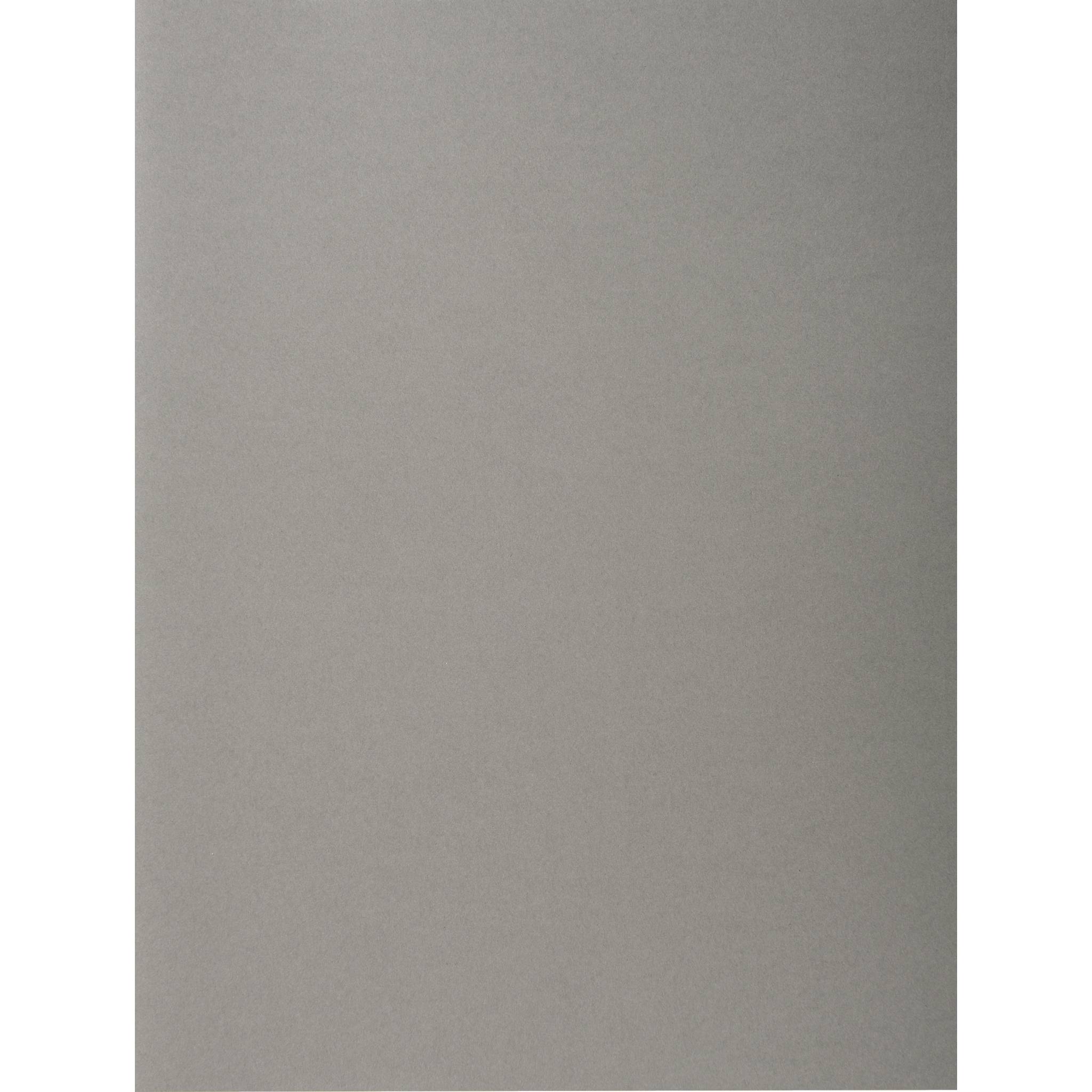 Exacompta 5x Pack 100 Aktendeckeln Recycling 220g A4 - Grau - 410009E
