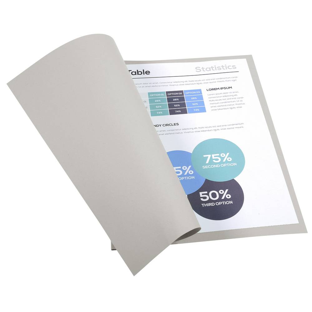 Exacompta 5x Pack 100 Aktendeckeln Recycling 220g A4 - Grau - 410009E