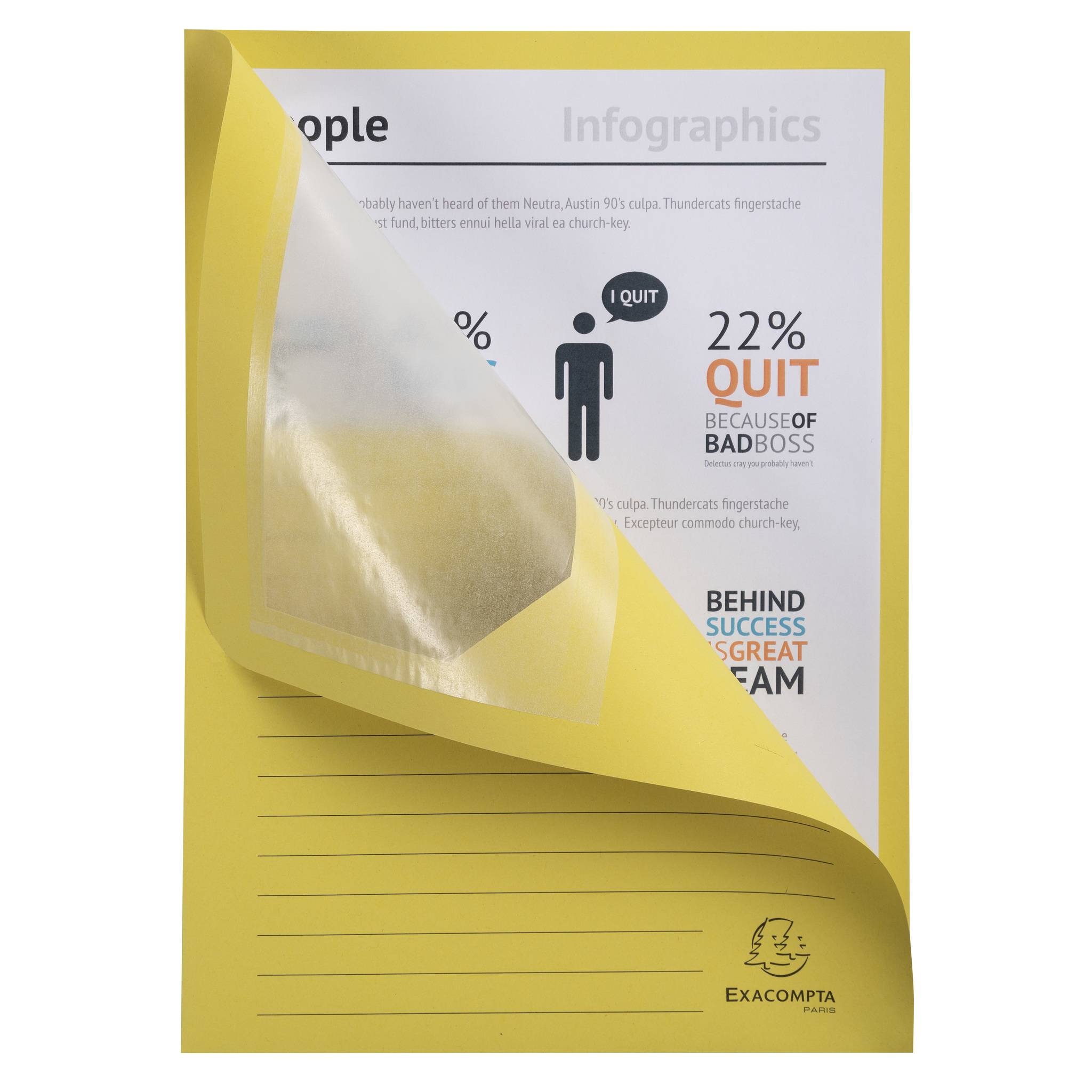 Exacompta 4x Pack 100 Fenstermappen, A4, 160g, plastikfrei - Gelb - 50109E