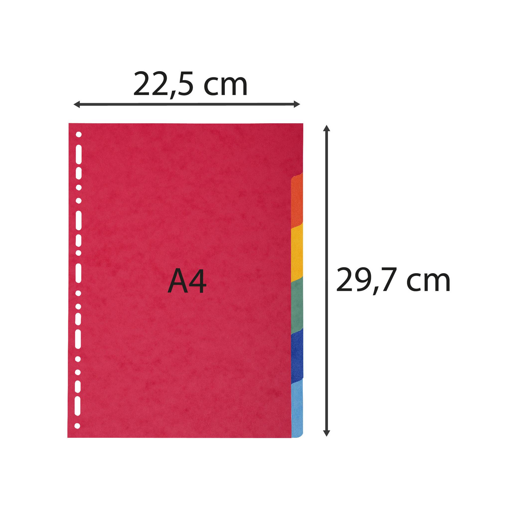 Exacompta 50x Register aus Recyclingkarton 220g, 6 Taben, für Format A4 - 2006E