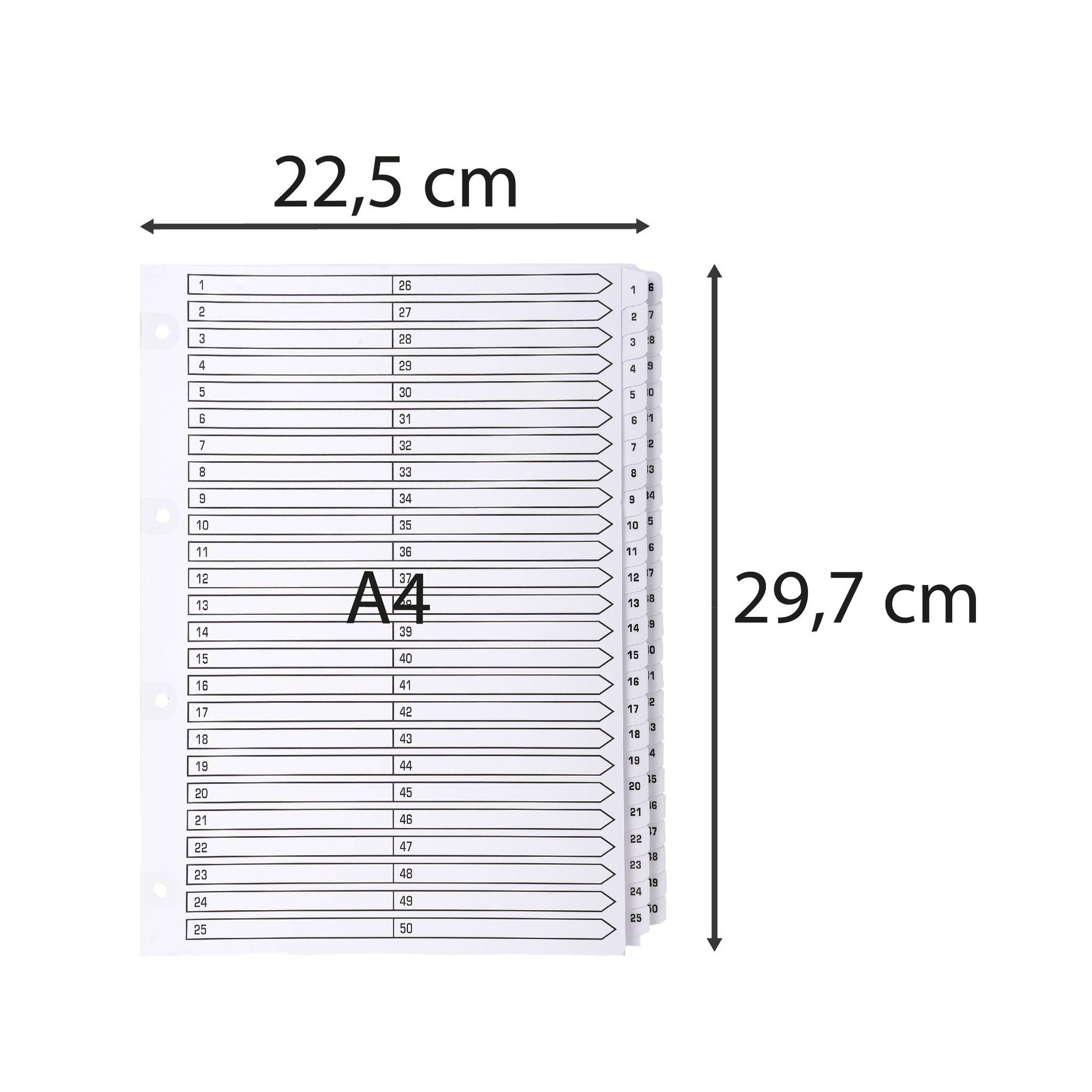 Exacompta 4x Register 50 Taben von 1 bis 50 A4 Weiß MWD1-50Z