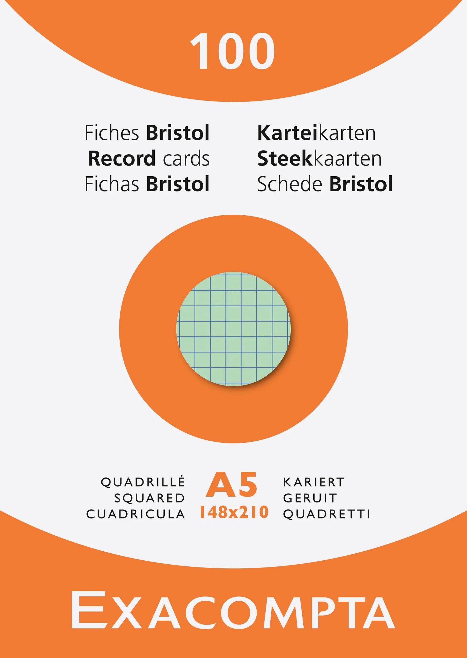 Exacompta 10x Karteikarten A5 kariert Faltschachtel + 100 Stück sortiert 13378E