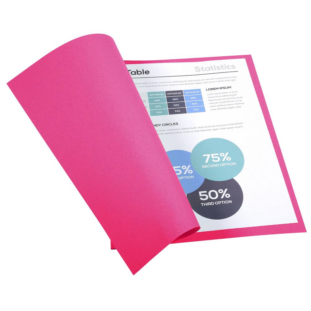 Exacompta 5x Pack 100 Aktendeckeln Recycling 220g A4 - Fuchsia - 410020E