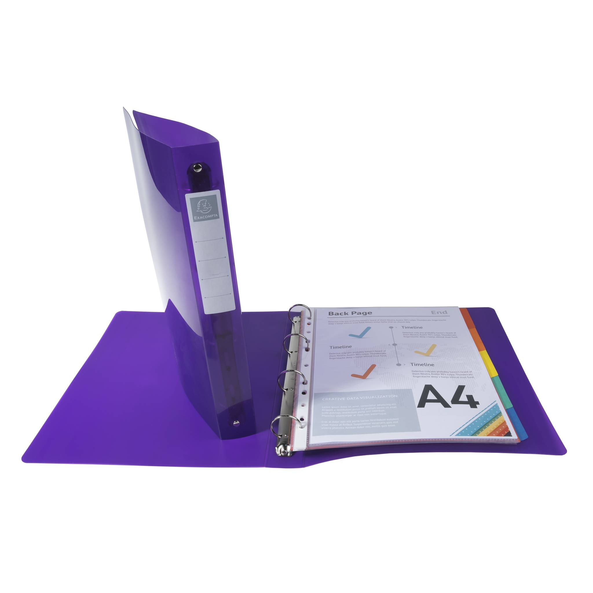 Exacompta 10x mittelfestes Ringbuch 4 Ringe PP 700µ PP- A4 Maxi Violett 51776E