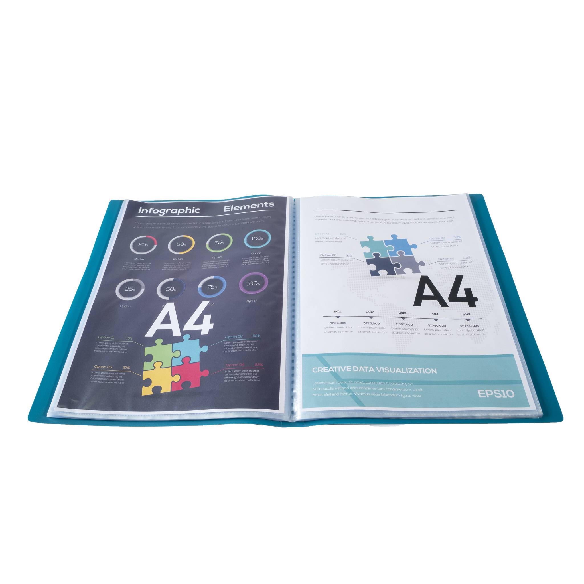 Exacompta 12x Sichtmappe A4 flexiblem Polypropylen, 50 Hüllen, Dunkelgrün, 8553E
