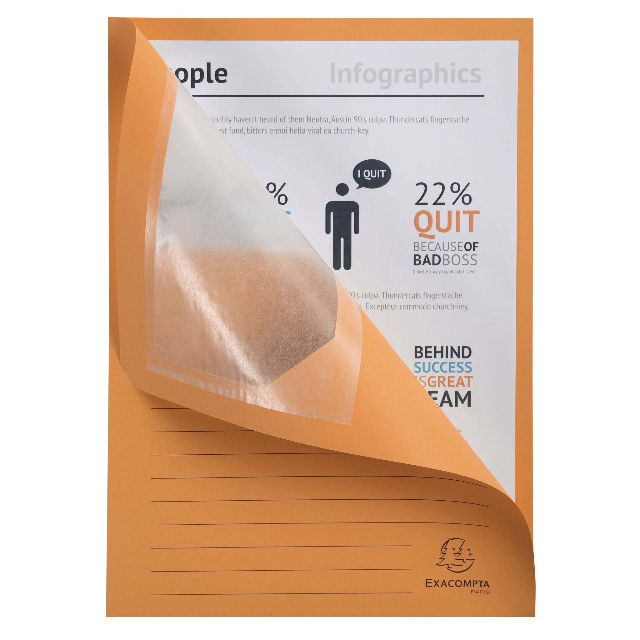 Exacompta 4x 100 Fenstermappen, A4, 160g, plastikfrei - Orange - 50104E