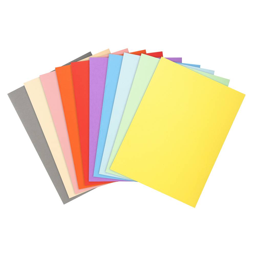 Exacompta 5x Pack 100 Aktendeckeln Recycling 220g A4 - sortiert - 410000E