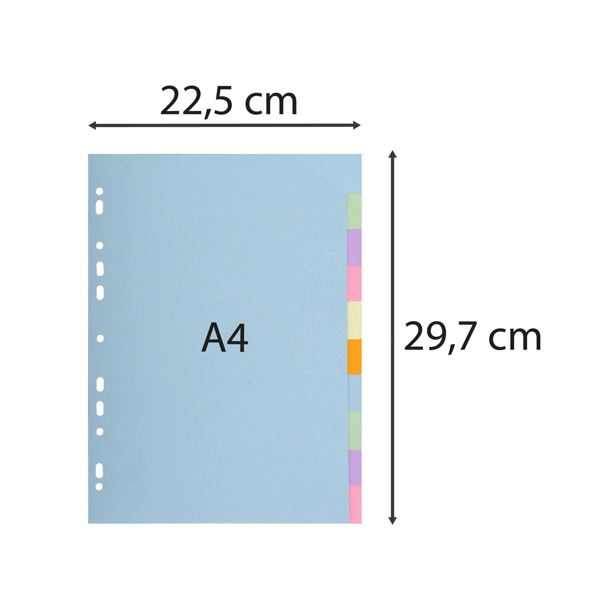 Exacompta 25x Register RC Kart.170g, 10 neutrale Taben, A4,, Pastell, 1610E