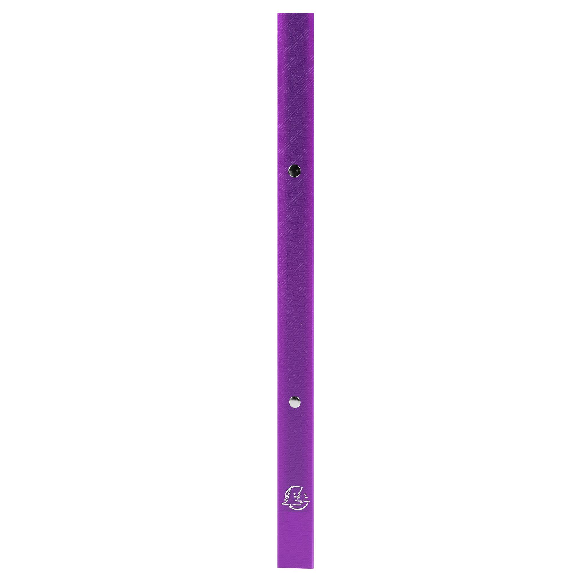 Exacompta 25x Ringbuch PP 500µ 2Ring 15mm Rücken 20mm A4 Violett 54197SE