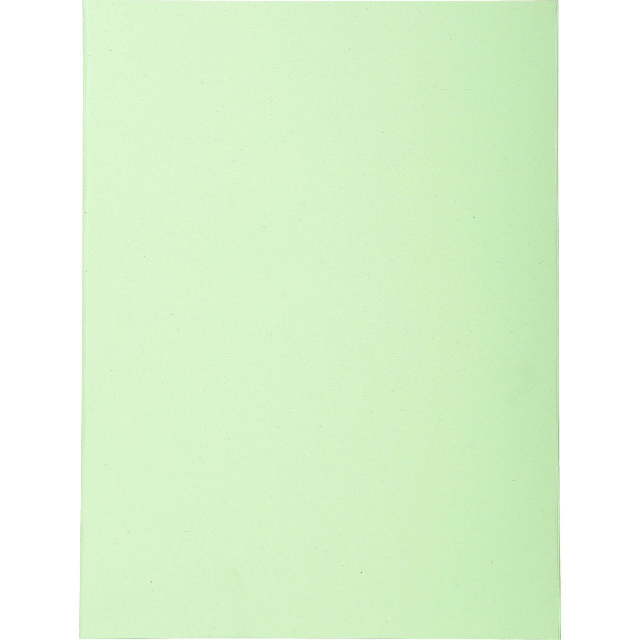 Exacompta 5x Pack 100 Aktendeckeln Recycling 220g A4 - Giftgrün - 410004E