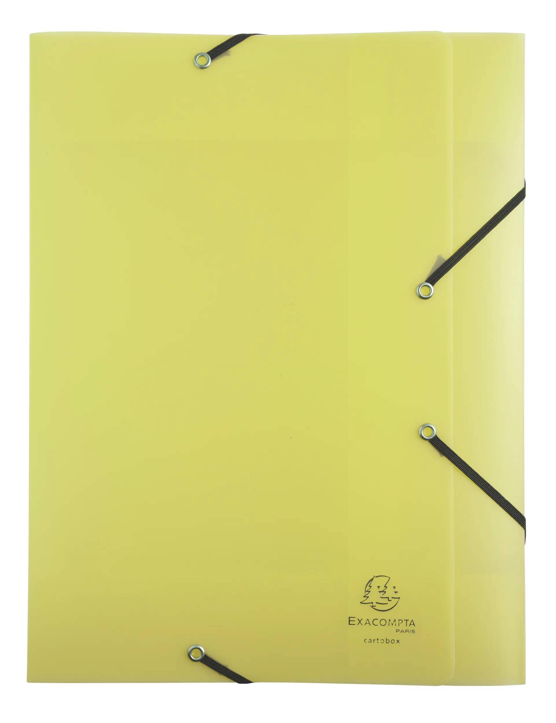 Exacompta 8x Archivbox Exabox A4 PP 700µ, Rücken 40mm, sortiert, 59270E