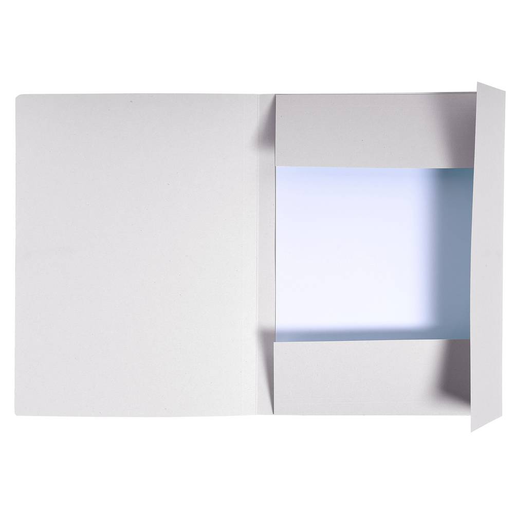 Exacompta 448019E 100x Exacompta, Aktenmappe mit Beschriftungsfeld und 3 Klappen, 280g, 24x32cm für DIN A4, Forever - Grau