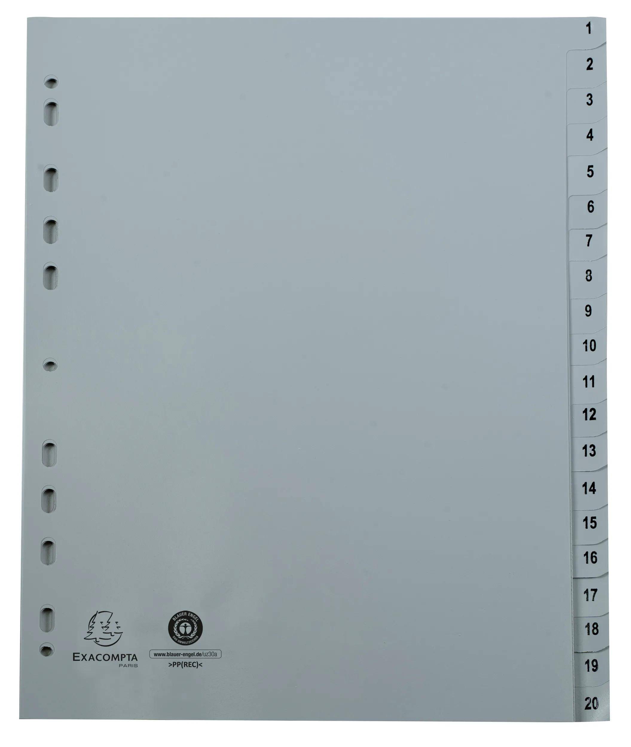 Exacompta 20x Register A4 grauem RC-PP 120µ Taben 1-20 20 Positionen Grau 1721E