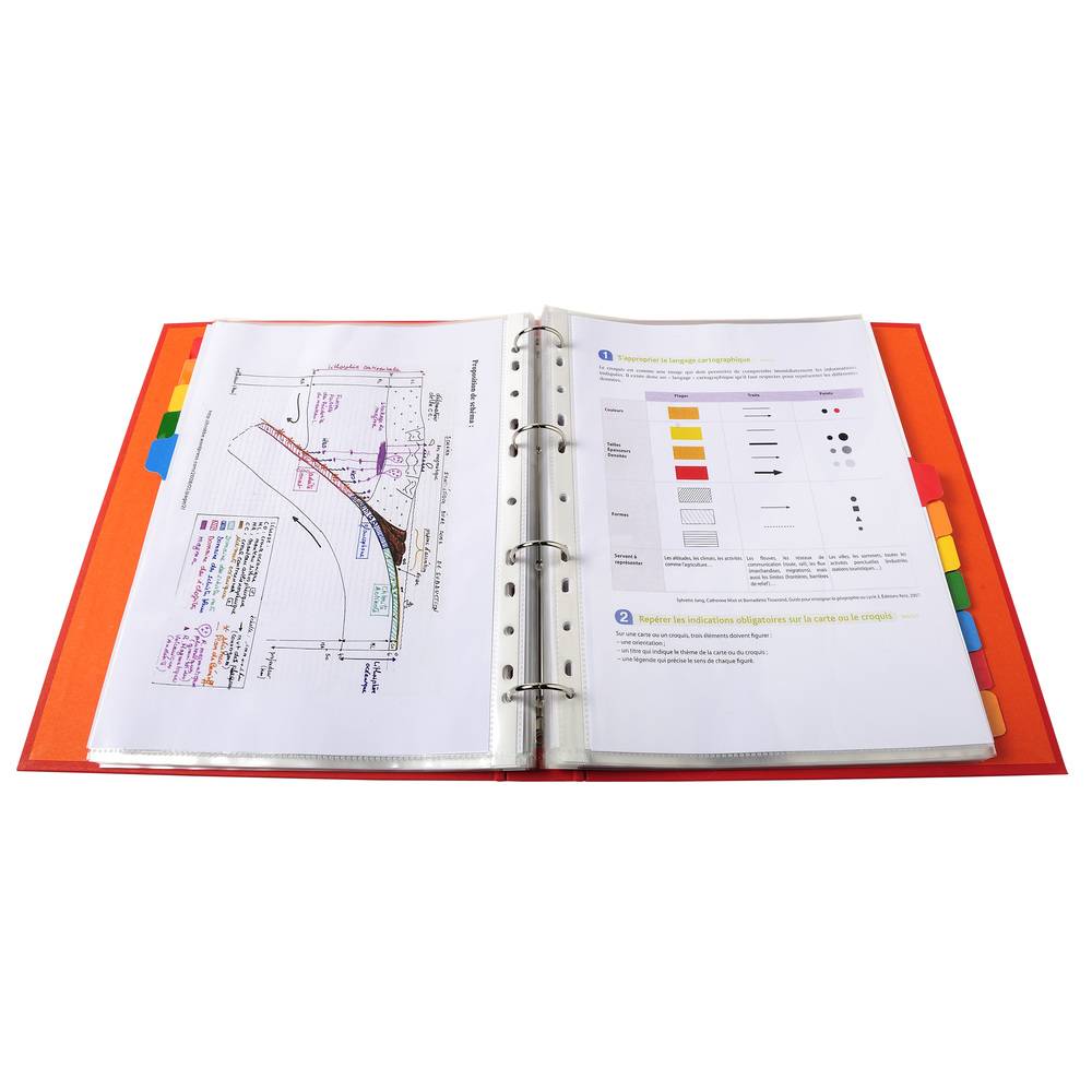 Exacompta 20x Register weißem Karton 160g 12 farbige Taben A4 Maxi Weiß 4312E