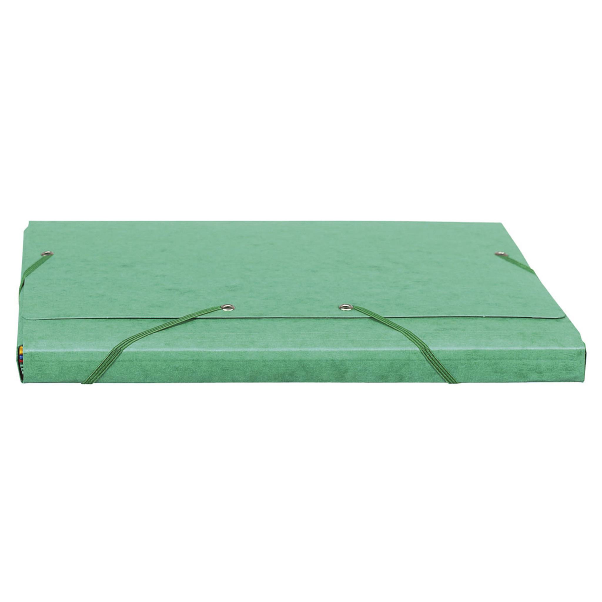 Exacompta 50x Sammelmappe + Gummizug, 3 Klappen Karton, 425g/qm A4, Grün, 55753E