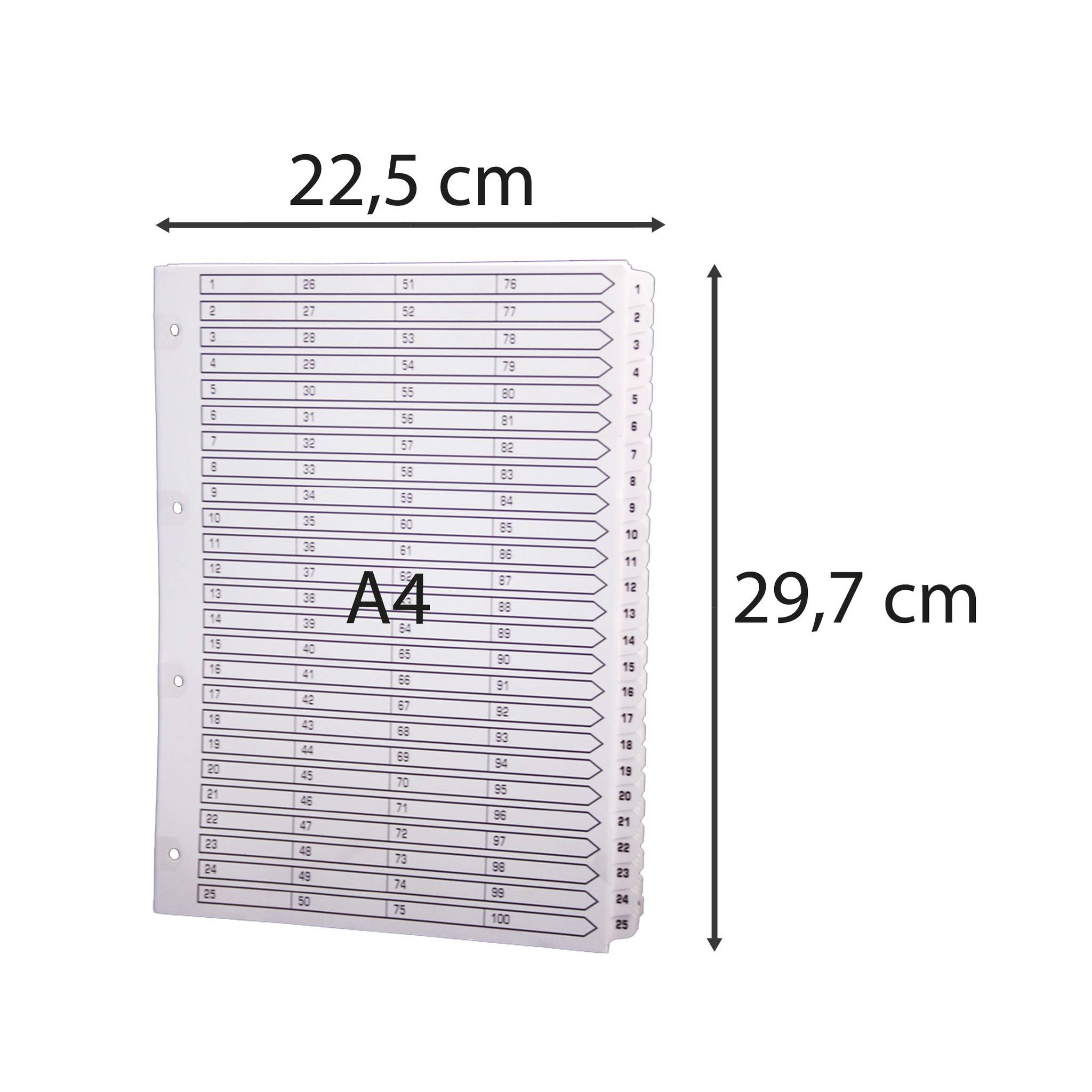Exacompta 2x Register 100 Taben von 1 bis 100 A4 Weiß MWD1-100Z