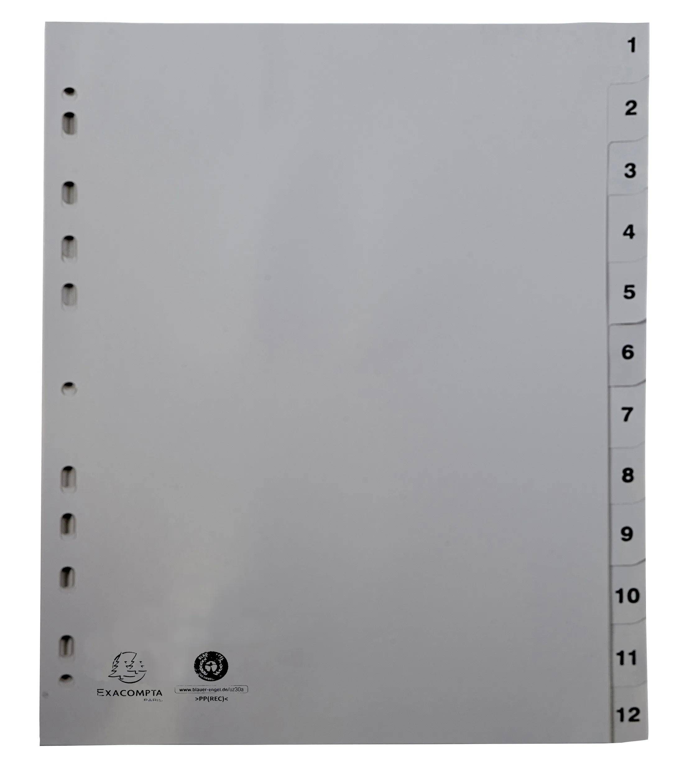 Exacompta 20x Register A4 grauem RC-PP 120µ Taben 1-12 12 Positionen Grau 1912E