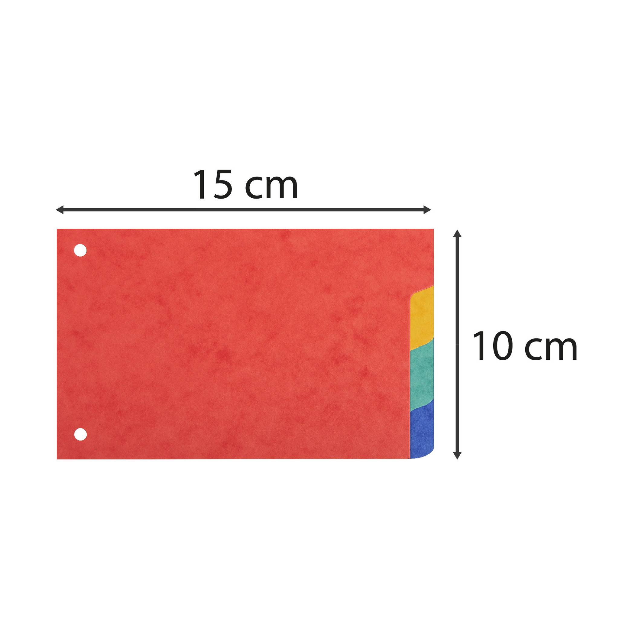 Exacompta 10x Register A6 Karton 4 Taben 2-fach gelocht für Karteikarten 604E