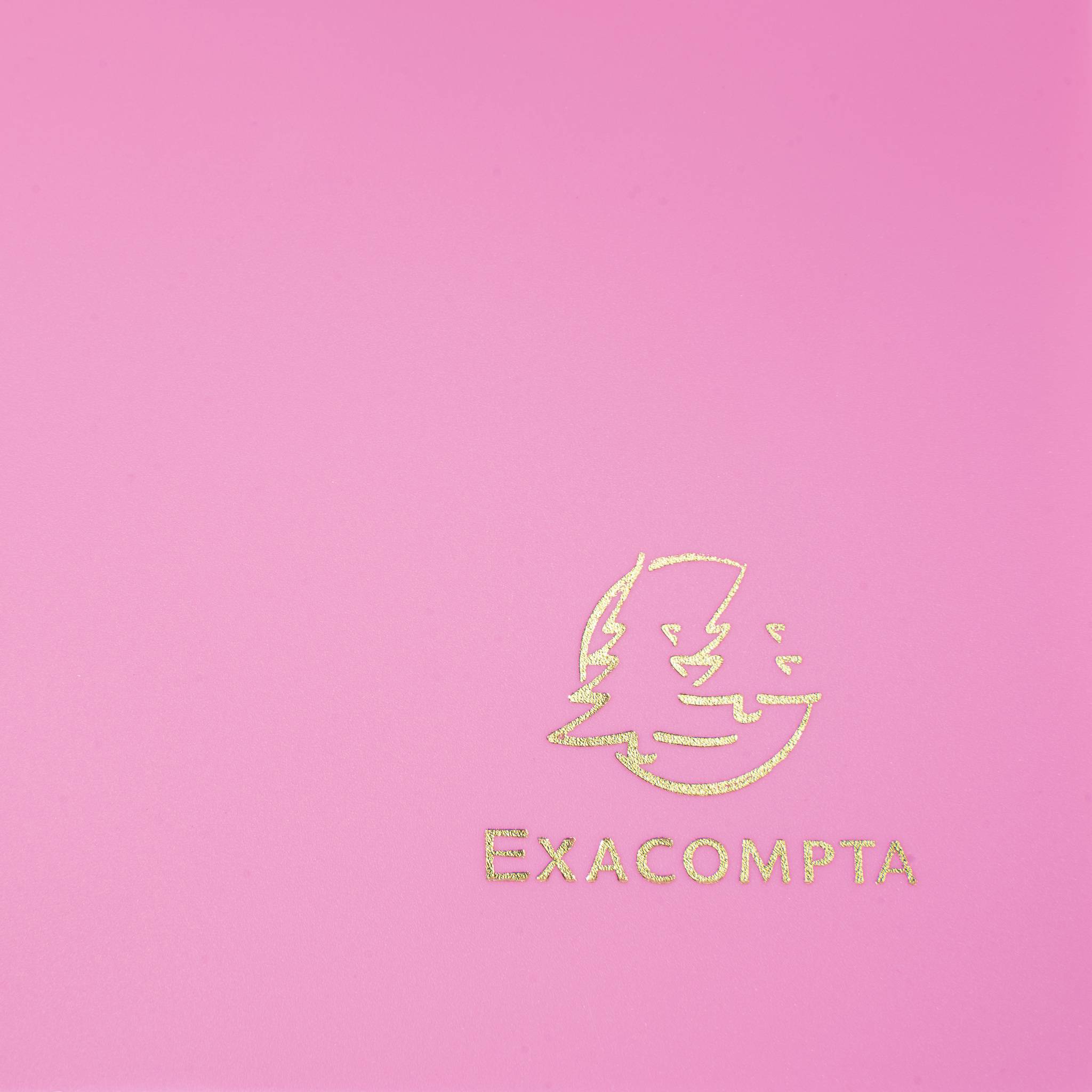 Exacompta 30x Sammelmappe +Gummizug 3 Klappen PP 400µ Eco A4 Fuchsia 55920E