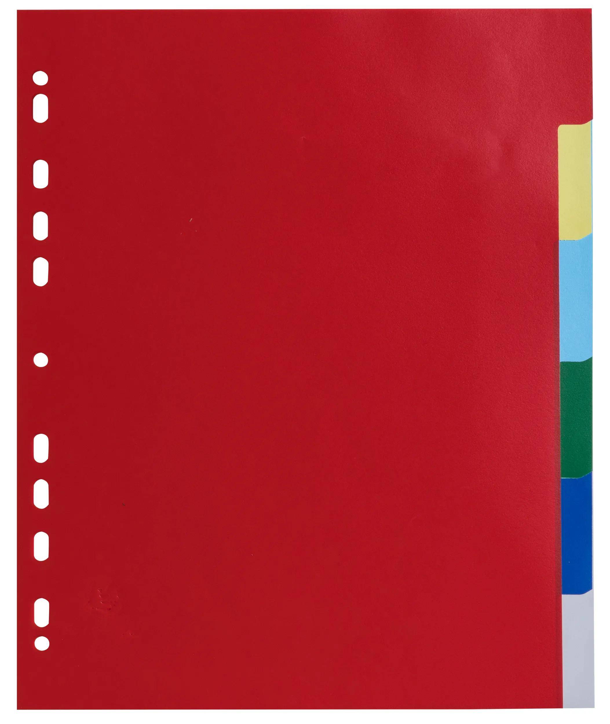 Exacompta 100x Register PP 120µ + 6 Positionen, A4 Maxi, sortiert, 83H