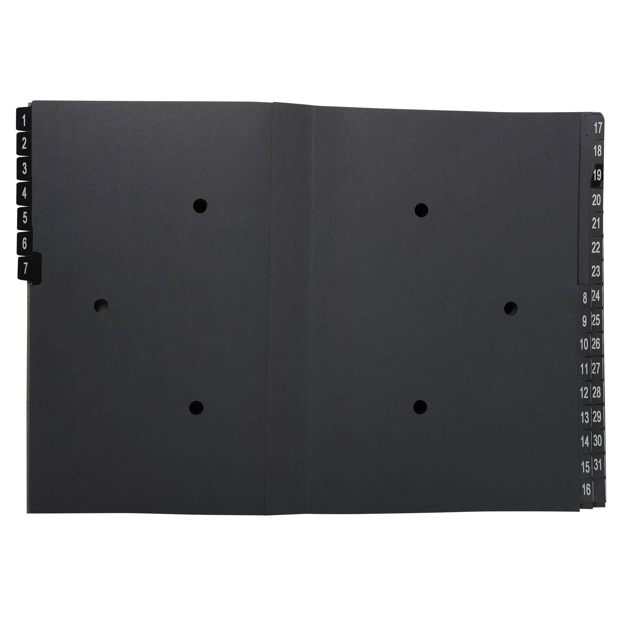 Exacompta 6x Pultordner Ordnungsmappe 32 Fächern RCKarton 1-31 A4 Schwarz 57032E