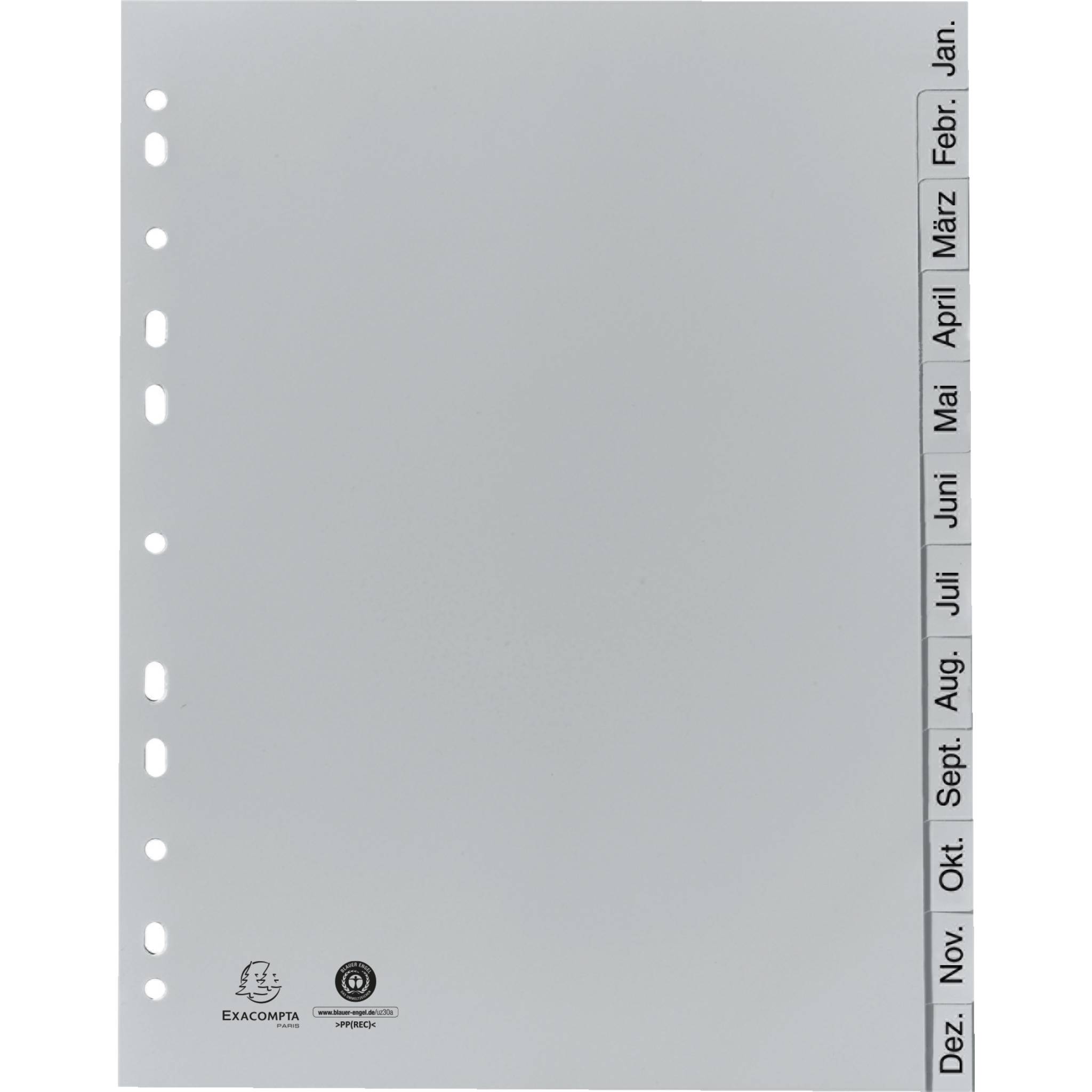 Exacompta 25x Register A4 RC-PP grau 120µ Jan-Dez. (DE) 12 Pos Grau 1812B