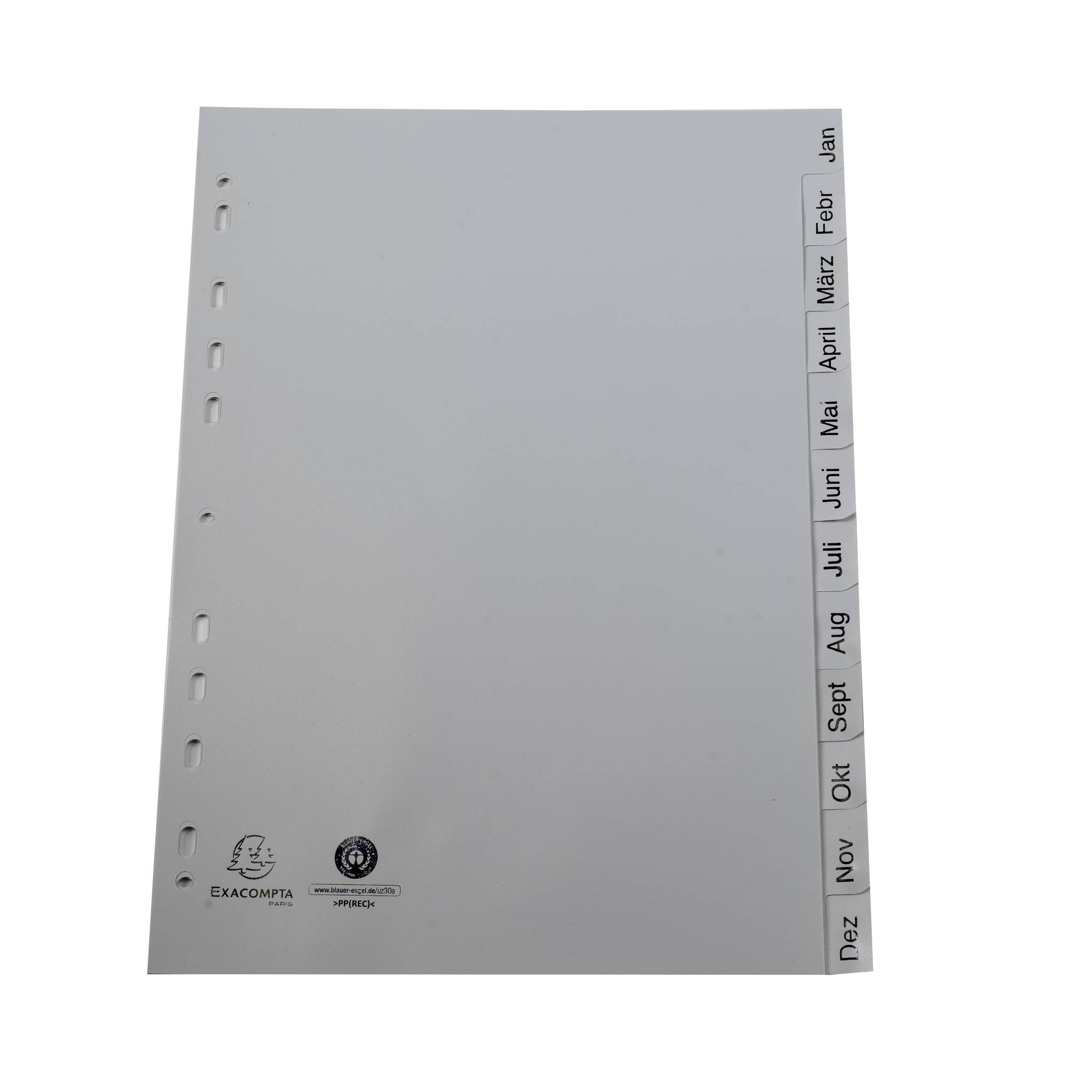 Exacompta 25x Register A4 RC-PP grau 120µ Jan-Dez. (DE) 12 Pos Grau 1812B