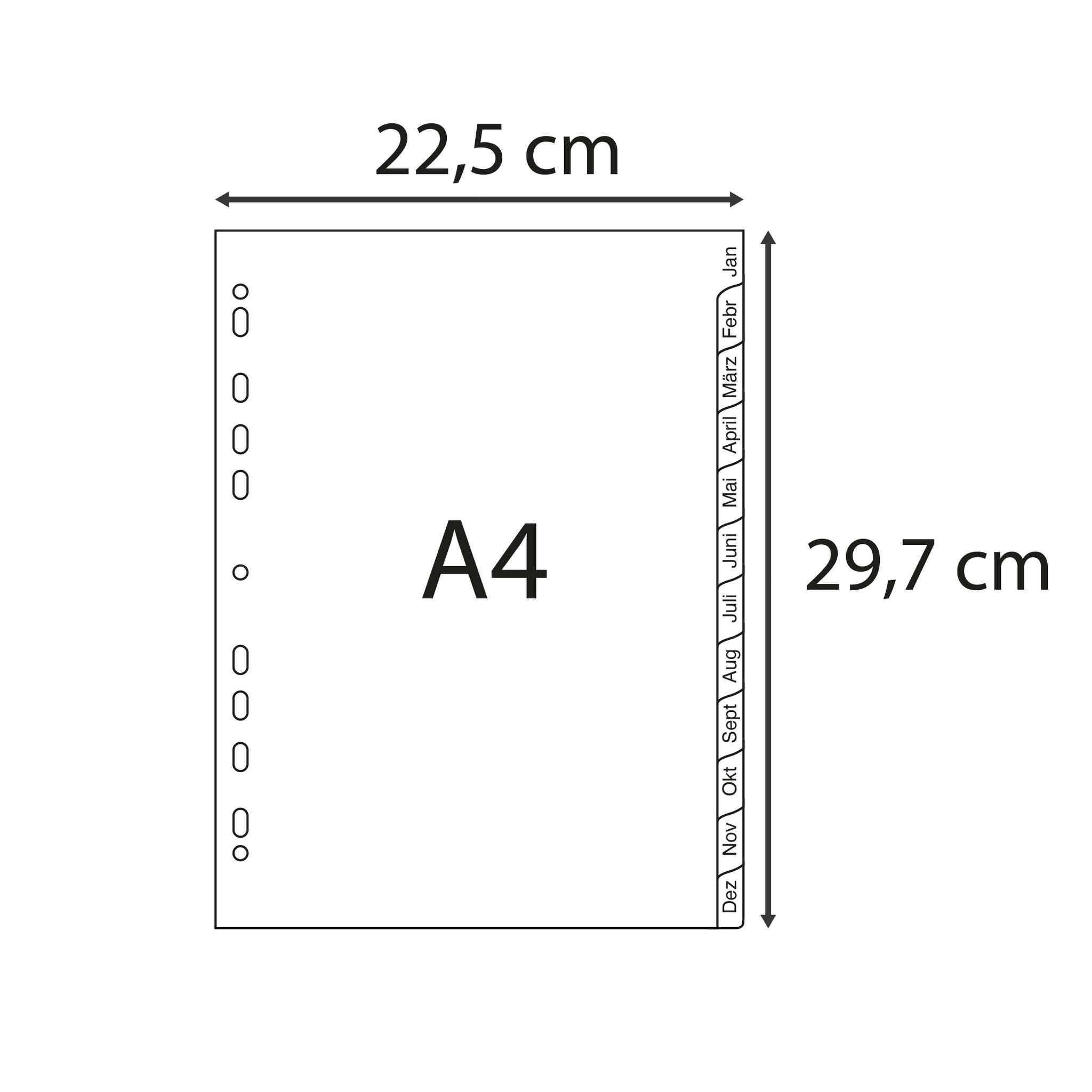 Exacompta 25x Register A4 RC-PP grau 120µ Jan-Dez. (DE) 12 Pos Grau 1812B