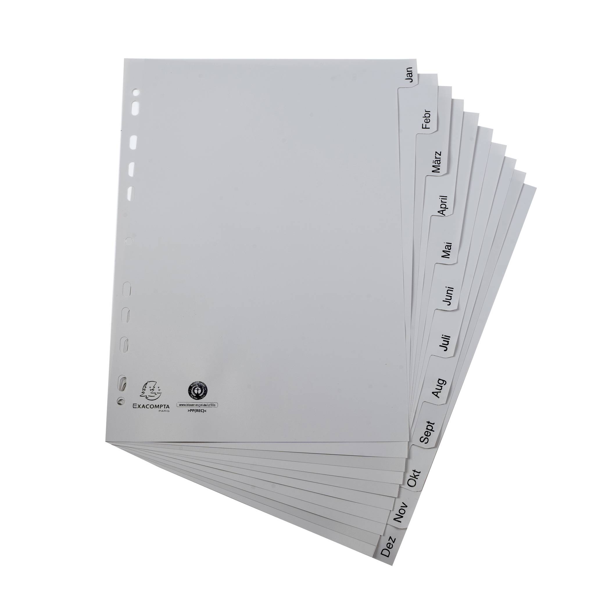 Exacompta 25x Register A4 RC-PP grau 120µ Jan-Dez. (DE) 12 Pos Grau 1812B