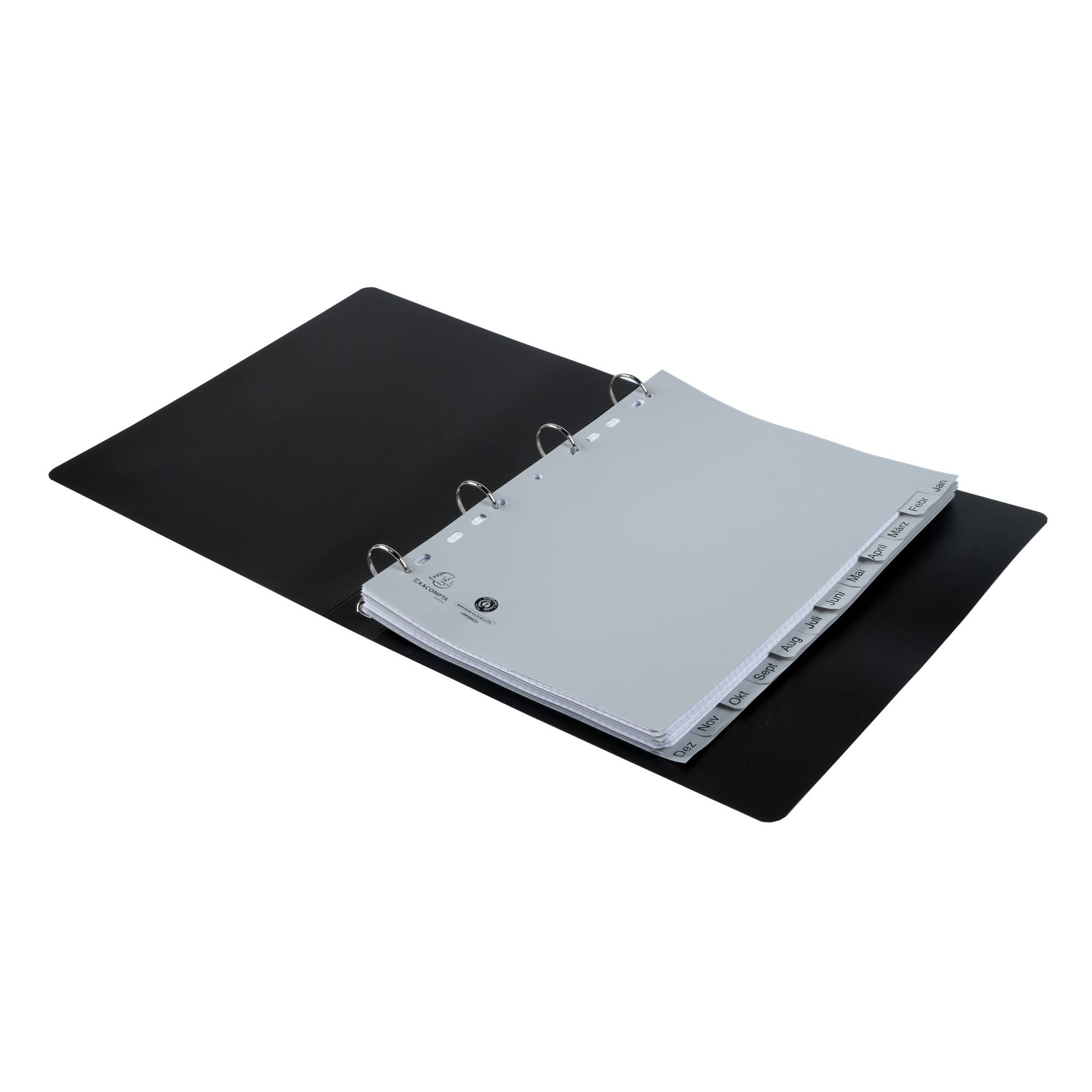 Exacompta 25x Register A4 RC-PP grau 120µ Jan-Dez. (DE) 12 Pos Grau 1812B