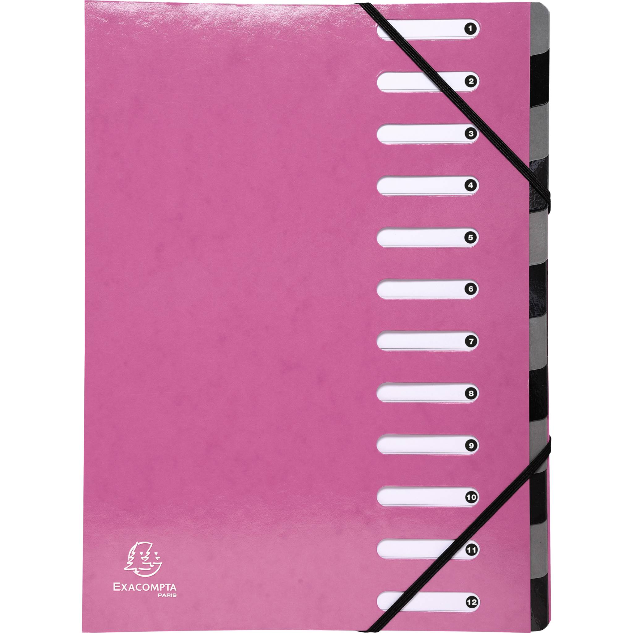 Exacompta 6x Ordnungsmappe Harmonika dehnbar Karton 12 Fächer Rosa 53928E